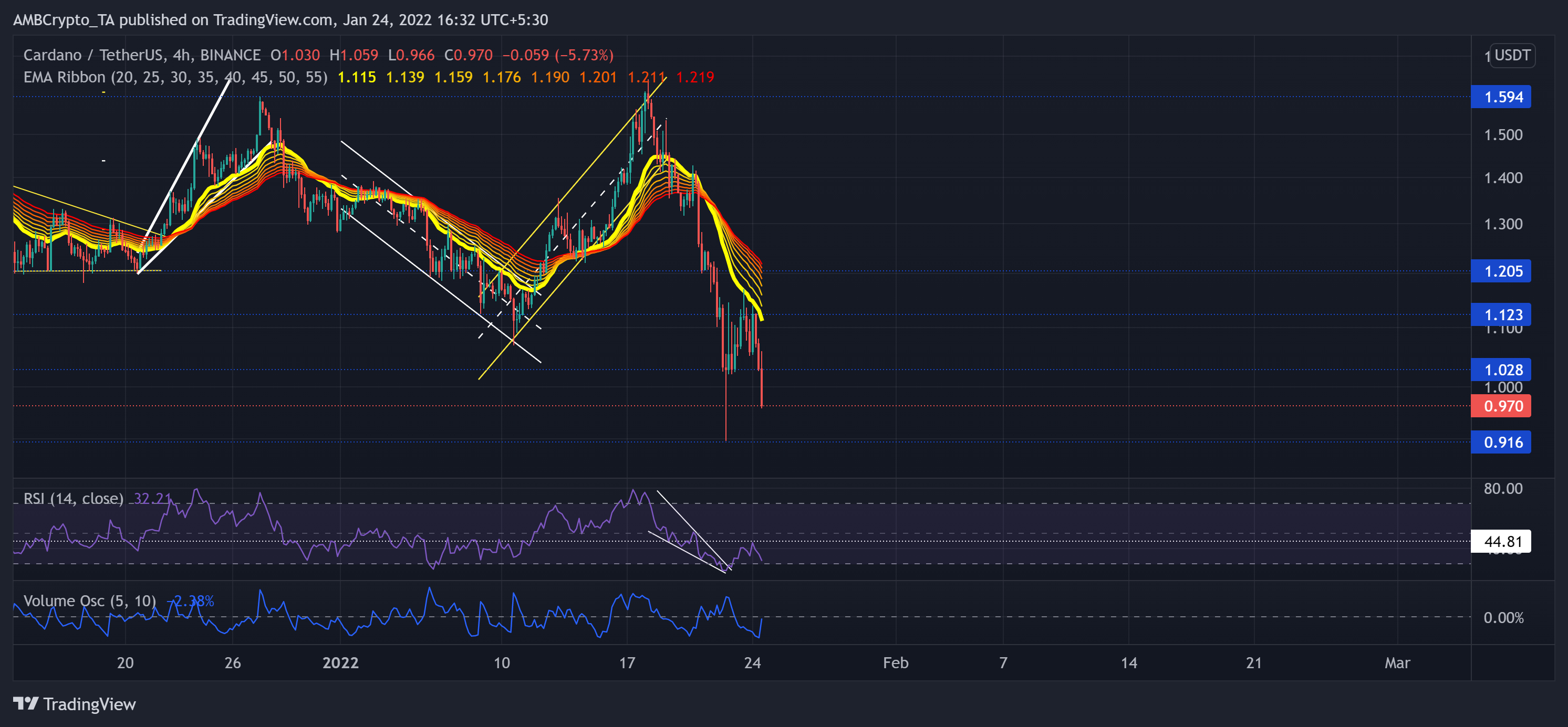 Cardano、Tron、Axie Infinity価格分析：1月24日