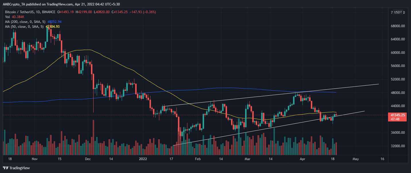 ビットコインの現在の需要、利益レベルには最適なBTC割り当ての手がかりがあります