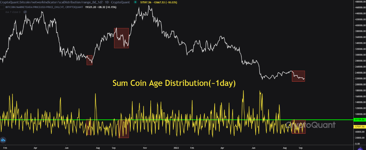 ビットコイン [BTC]の最近の急増は長くは続かない可能性があり、犯人は他ならぬ…