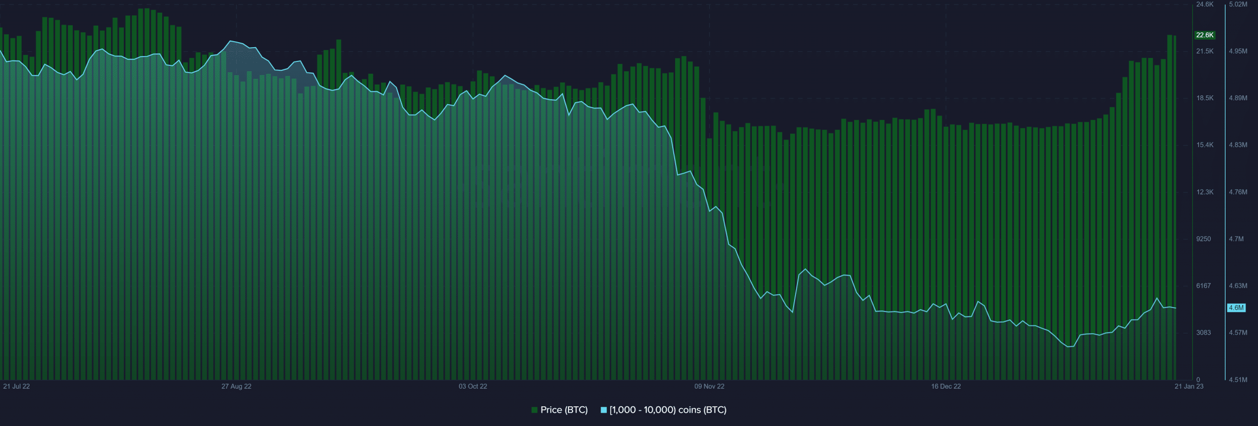 ビットコイン (BTC) クジラ