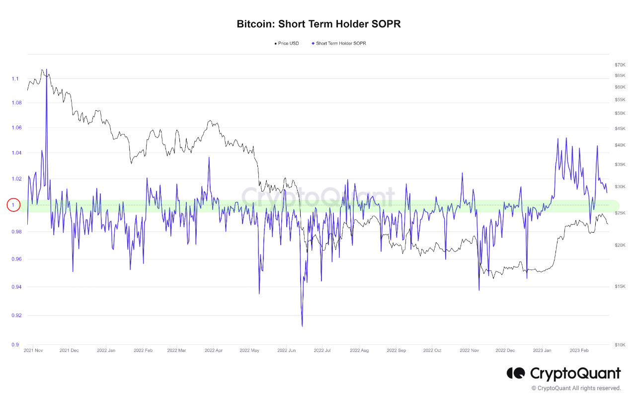 短期ビットコイン [BTC] 保有者は次のブルランをドライブする可能性があります-方法は次のとおりです