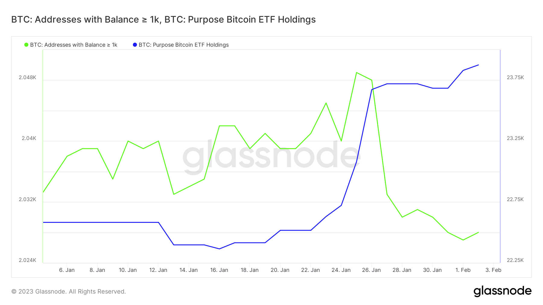 1,000 BTC を超えるビットコイン アドレスと目的のビットコイン ETF 保有