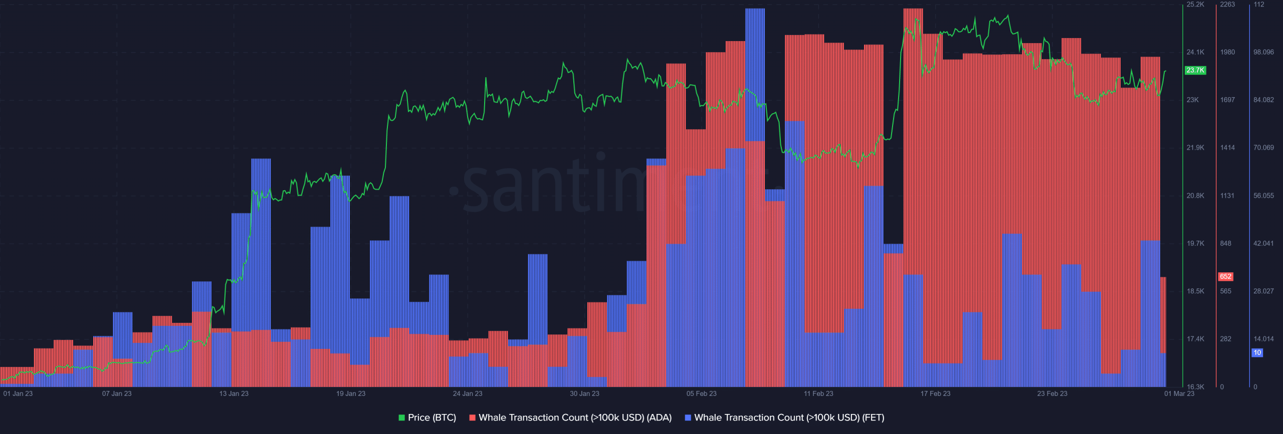 Cardano Fetch AI クジラ トランザクション数