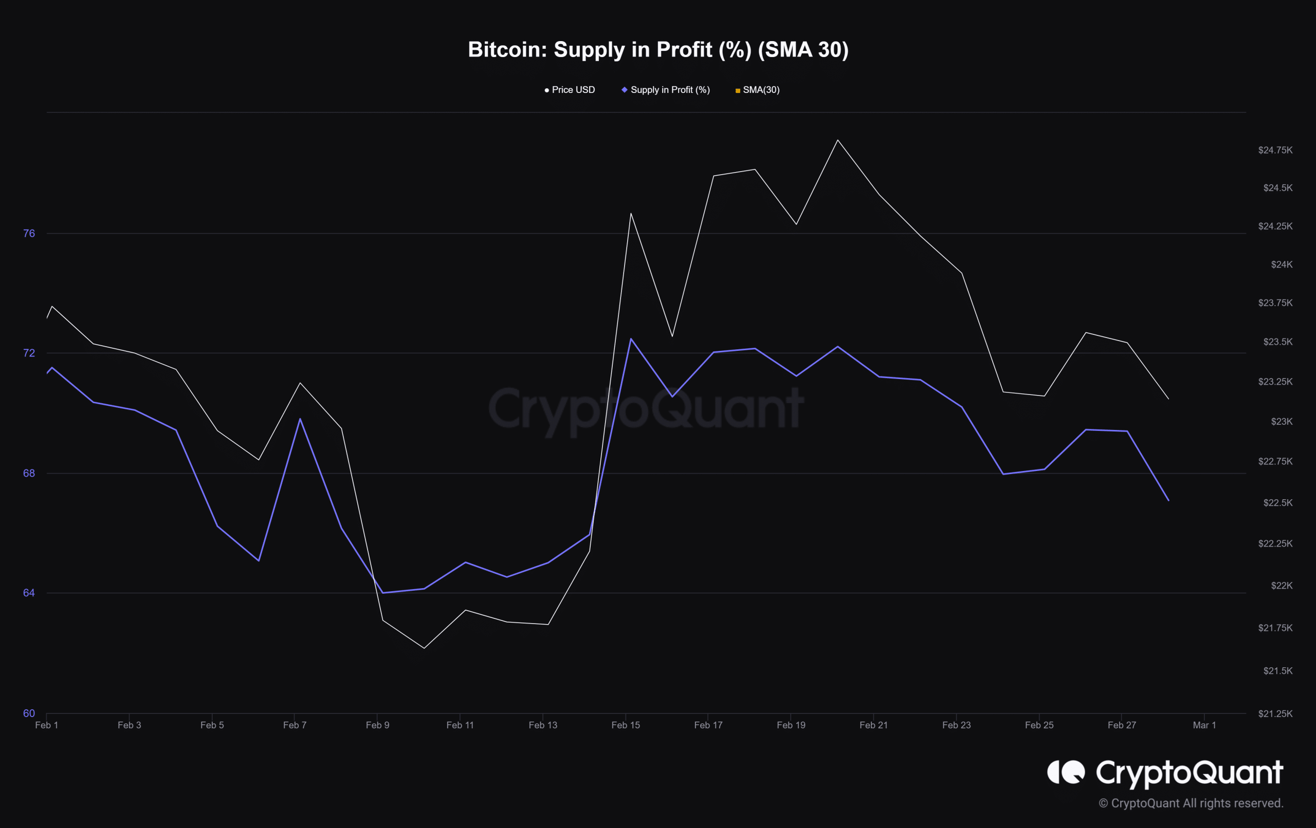 利益のあるビットコインの供給