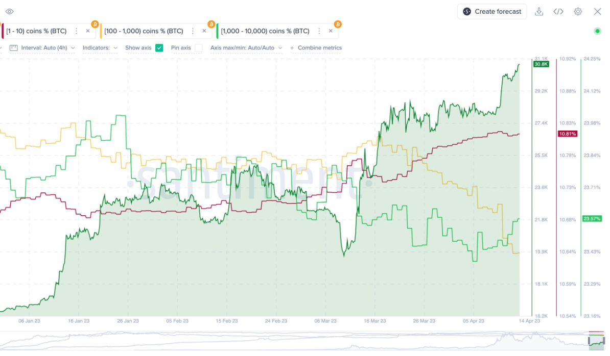 ビットコインのクジラは FOMO を経験し始めていますか? この新しいデータは次のことを示唆しています…
