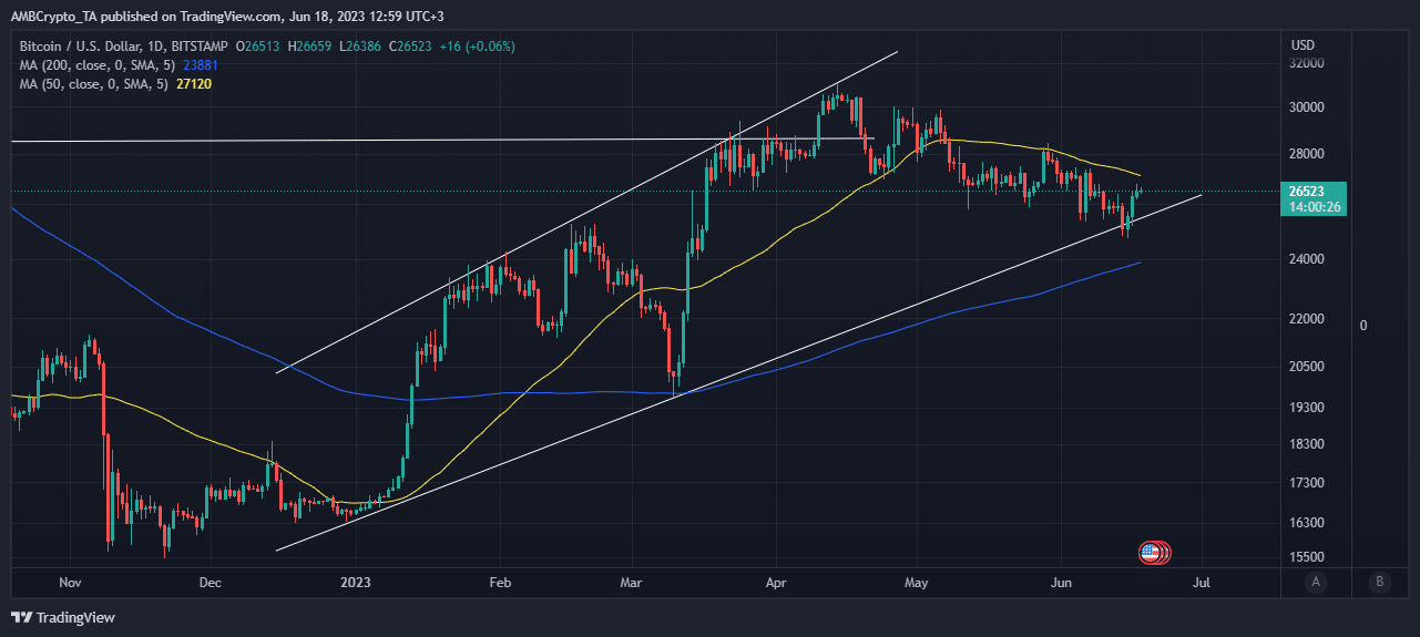 ビットコインの価格変動