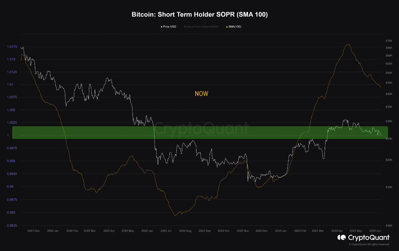 ビットコイン支出利益率 (SOPR)