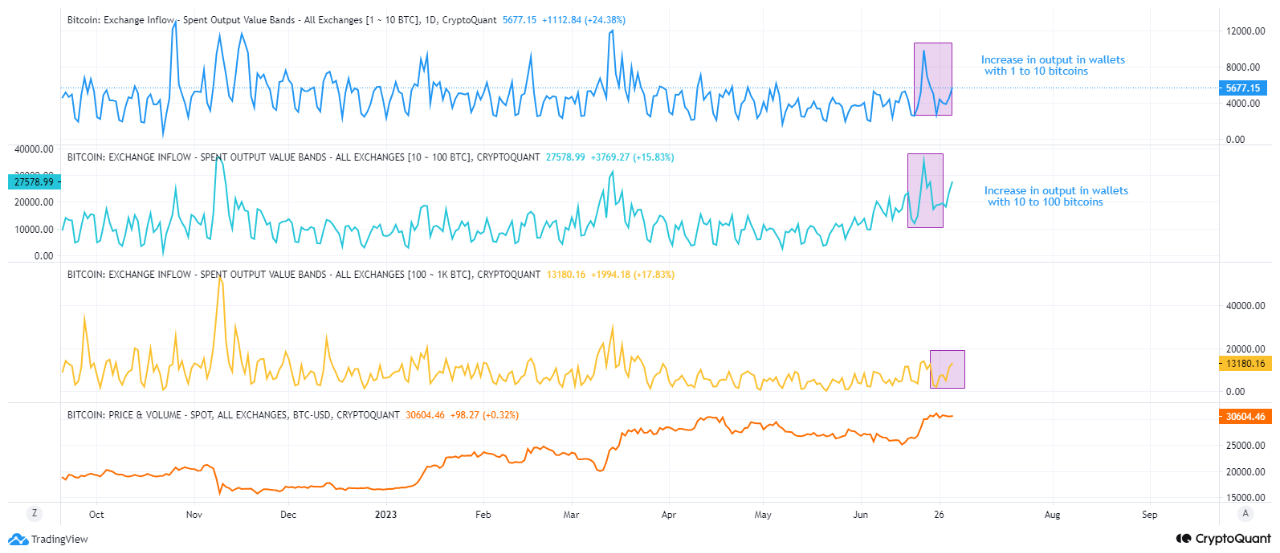 ビットコイン: 1 ～ 100 コインの保有者は下落を激化させます。その理由は…