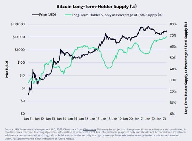ビットコイン保有額
