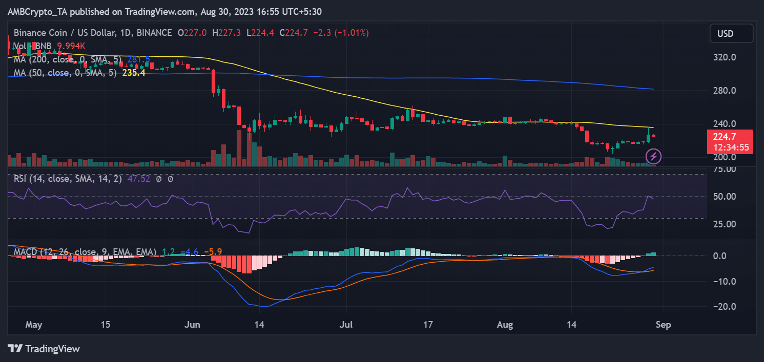 Binanceの毎日の時間枠の価格傾向