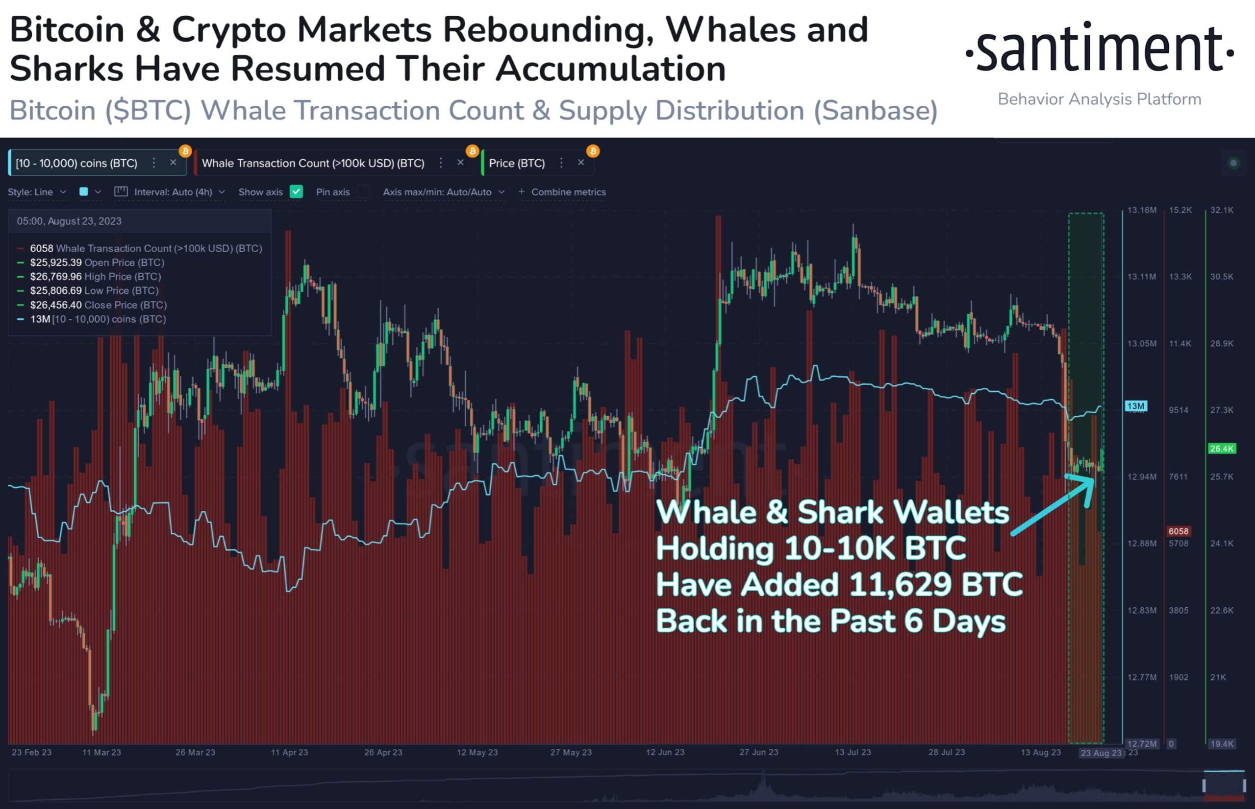 ビットコイン：大規模な取引が急増する中、クジラは押し目買いをしているのか？