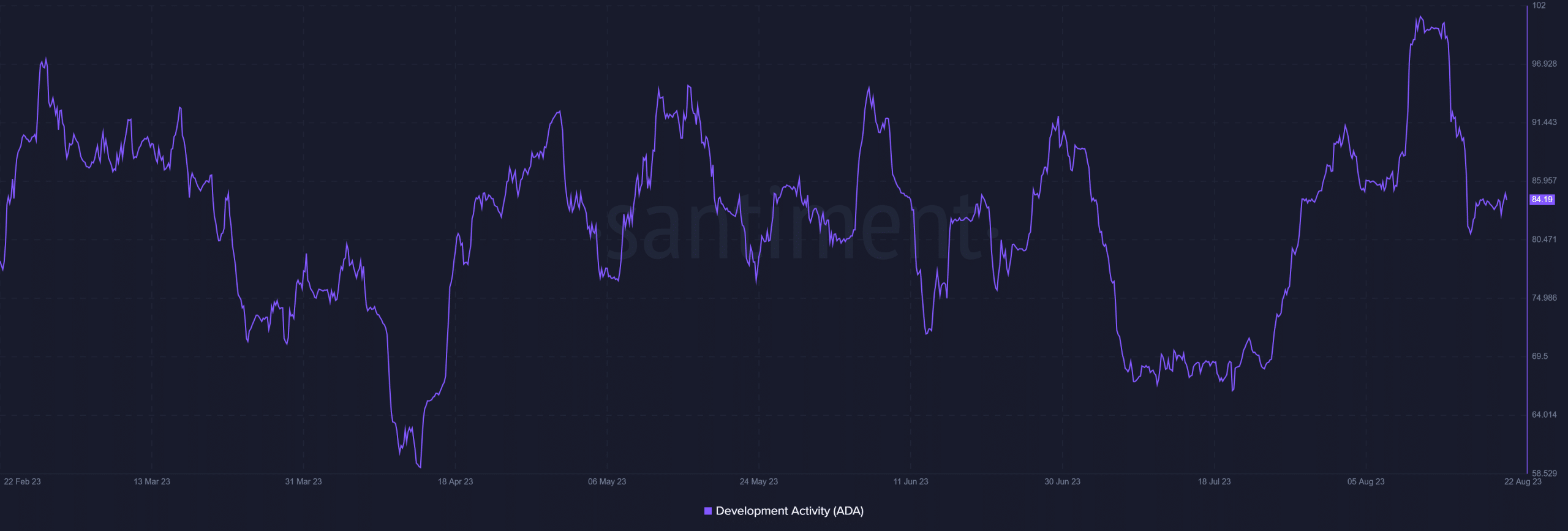 Cardano の開発活動