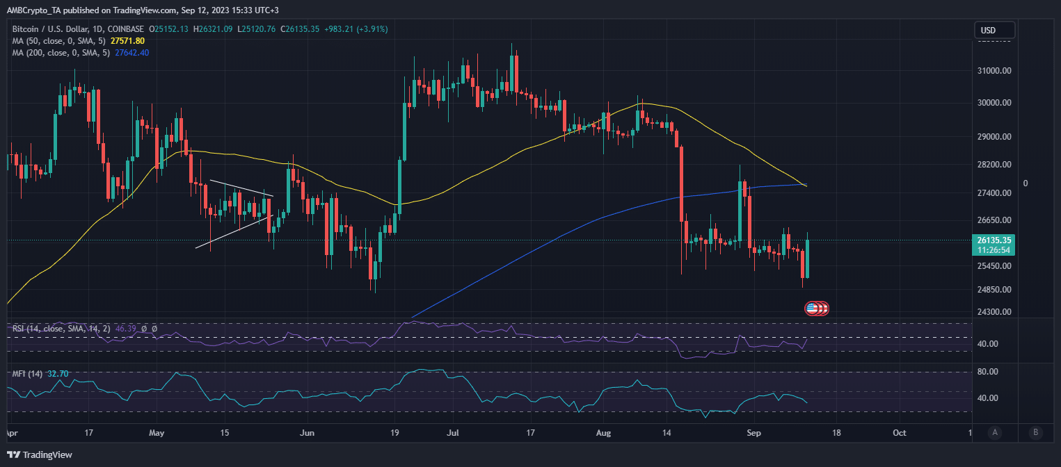 ビットコインの価格変動