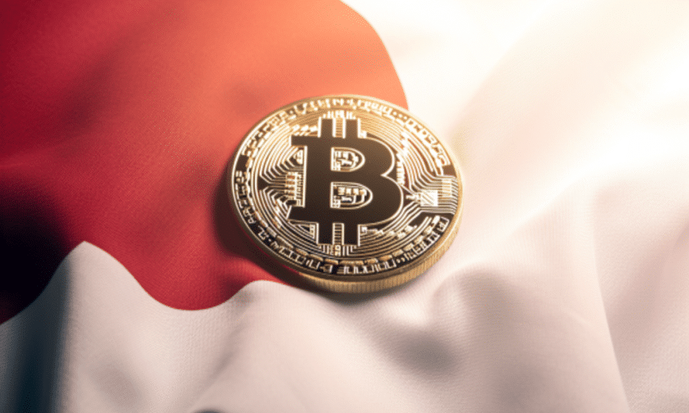 日本のスタートアップは株による資金調達をやめ、代わりに仮想通貨を使う？