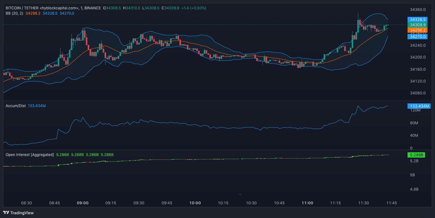 ビットコインの建玉と値動き