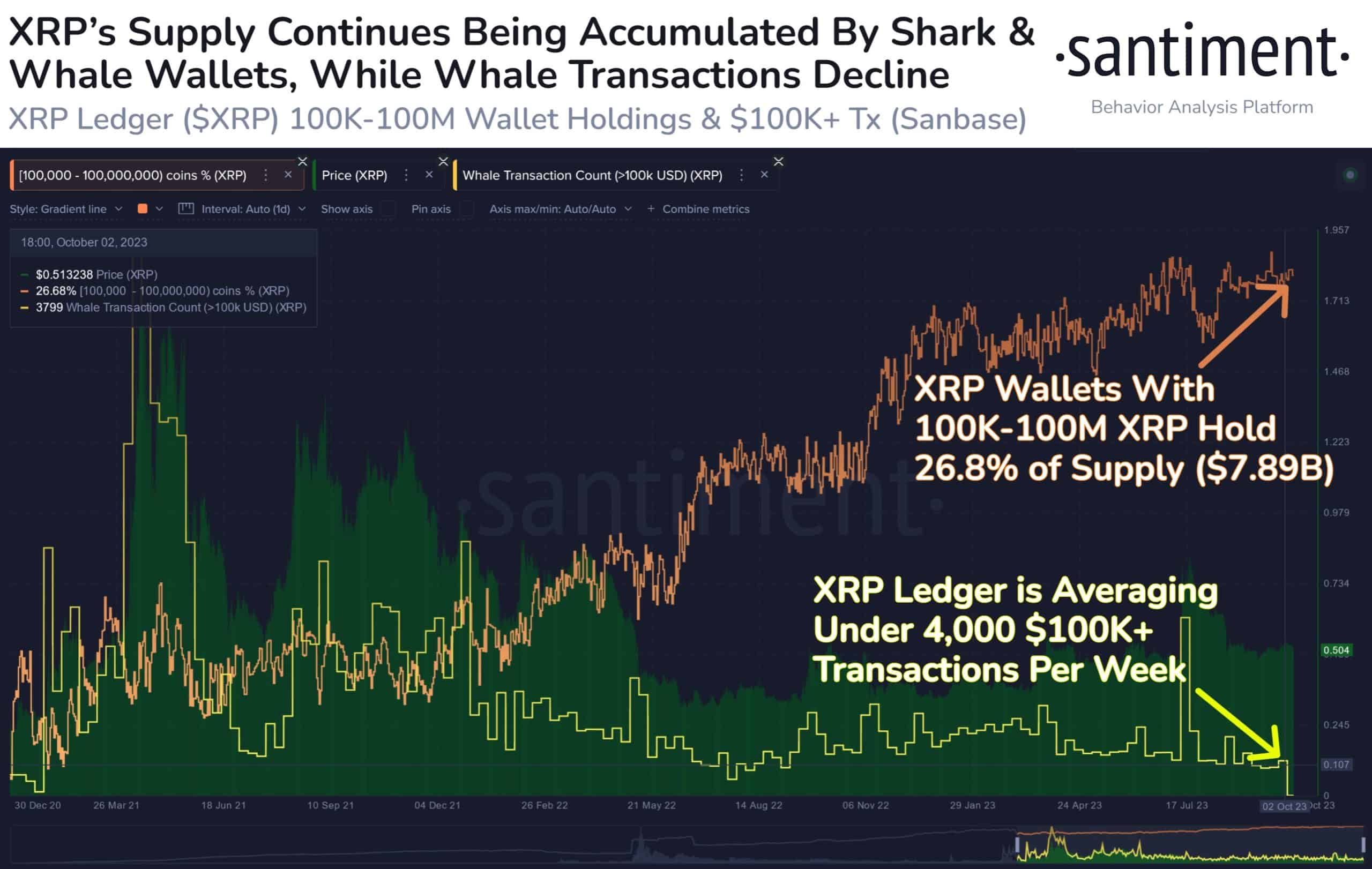 リップル：クジラの活動の衰退はXRPに影響を及ぼしますか？
