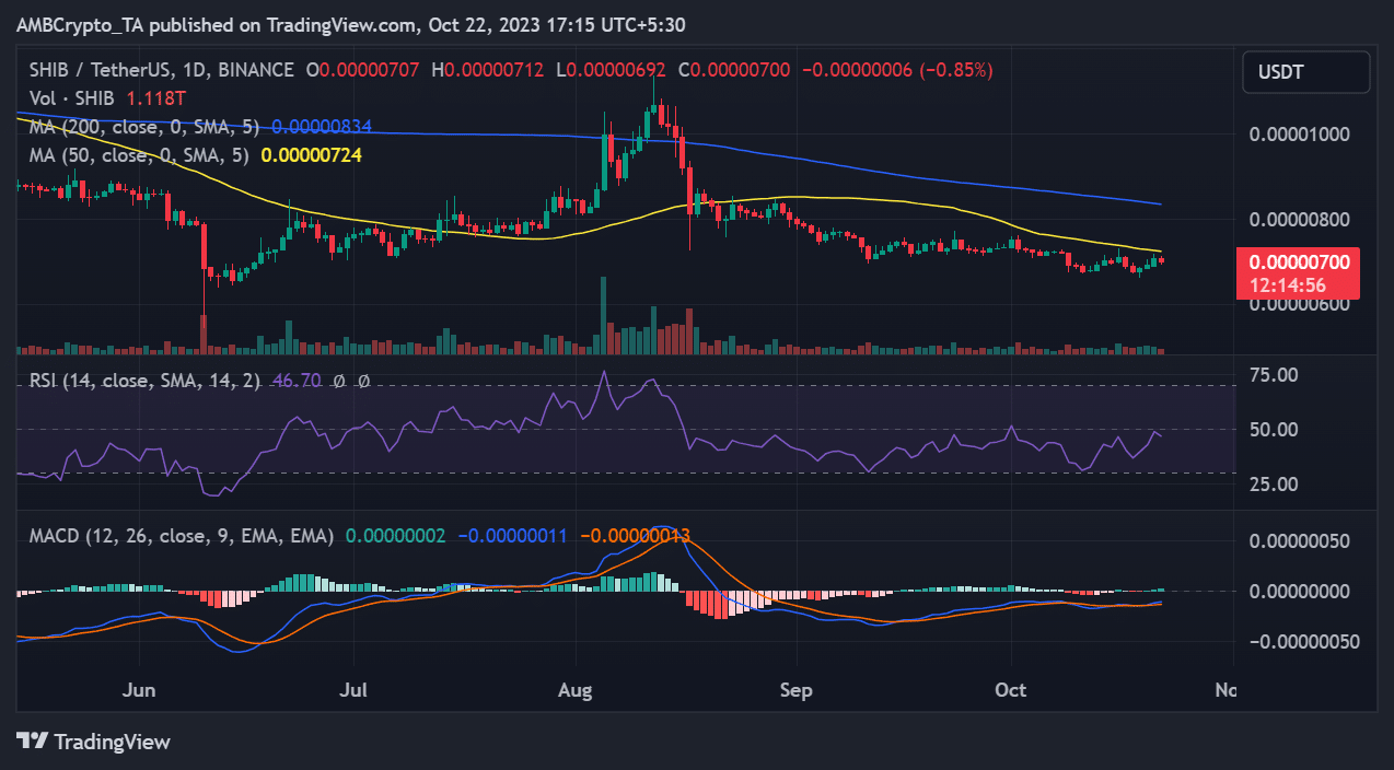 柴犬/USDの値動き