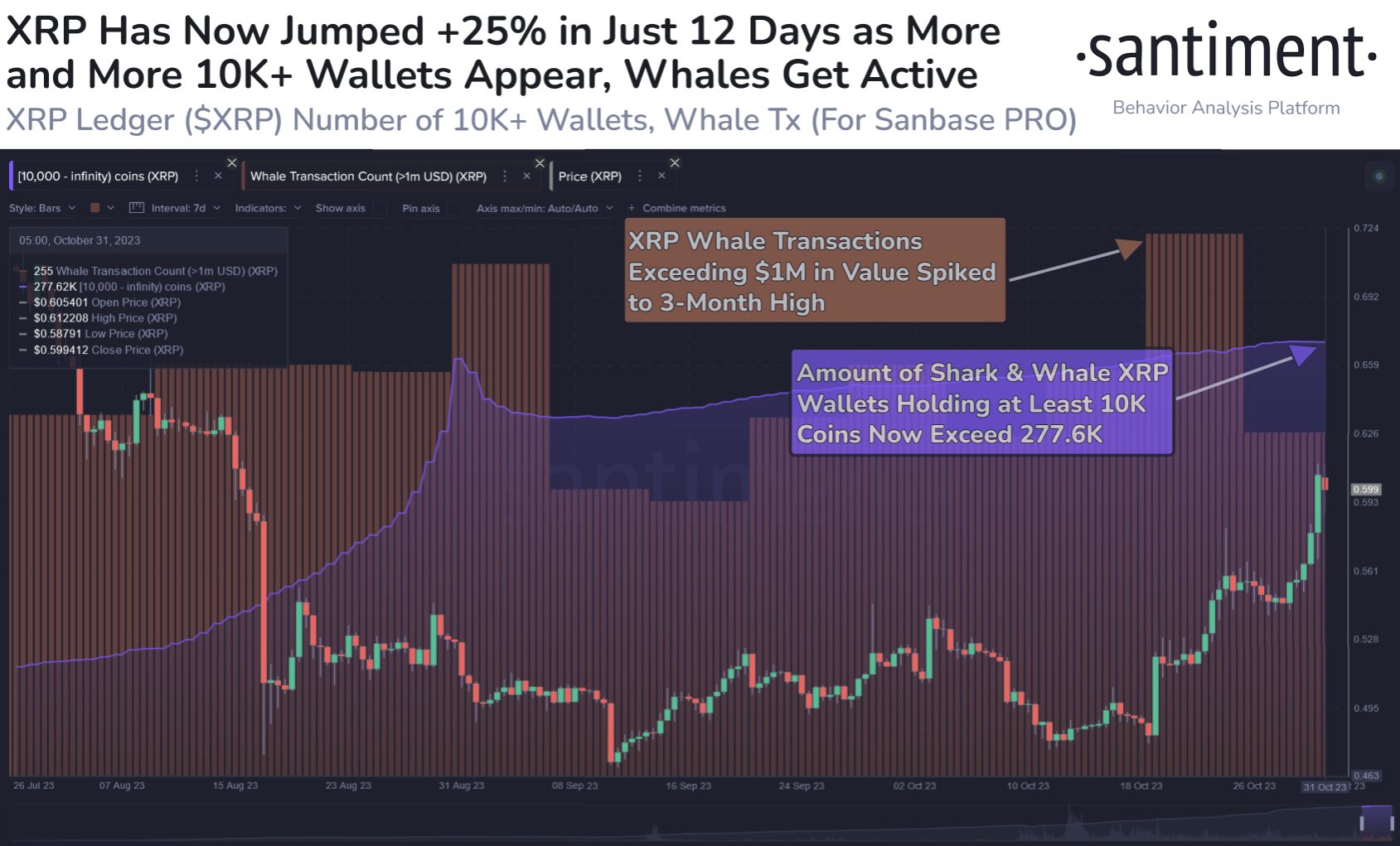 XRPは12日間で+25%急上昇 – この勢いは続くのでしょうか？